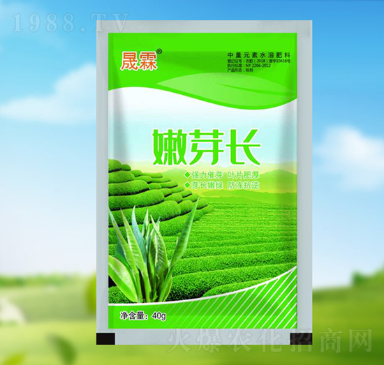 ��ѿ�L-��������