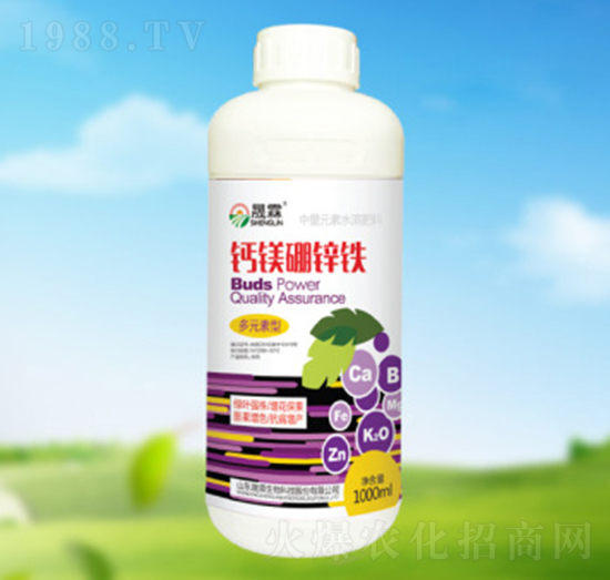 �}�V���\�F-��������