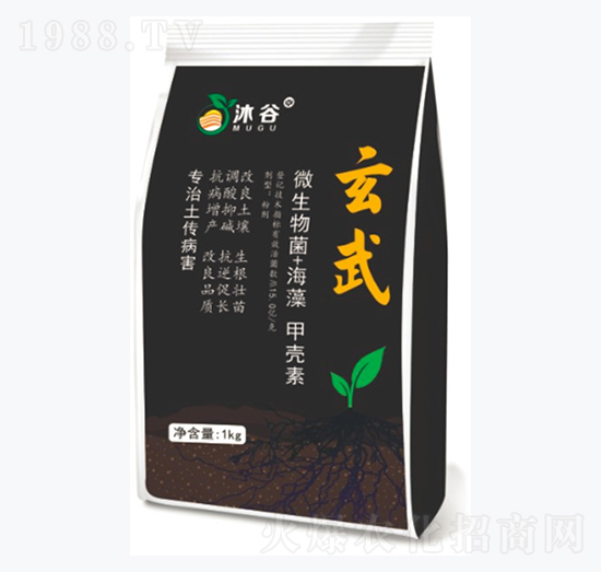 ������������-����-�������