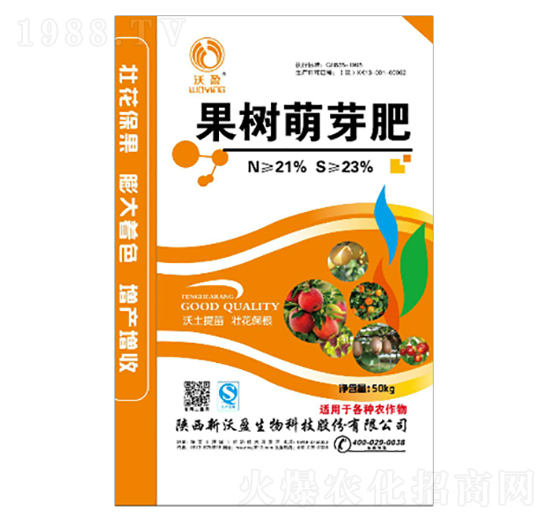 ������ѿ��--��ӯ����