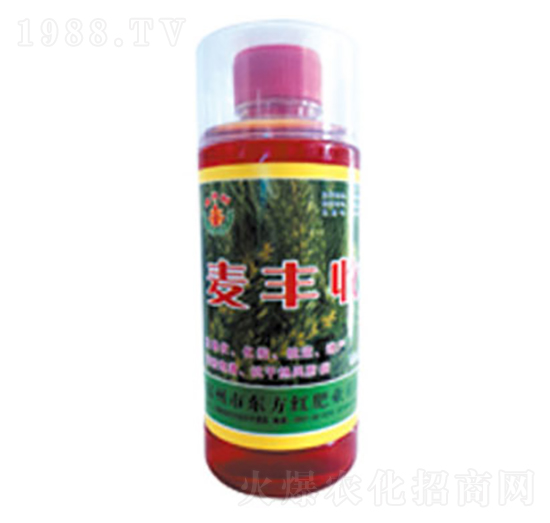 ���S���~���-�|���t