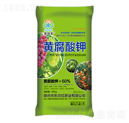 50%�S�����-�����-�|���t