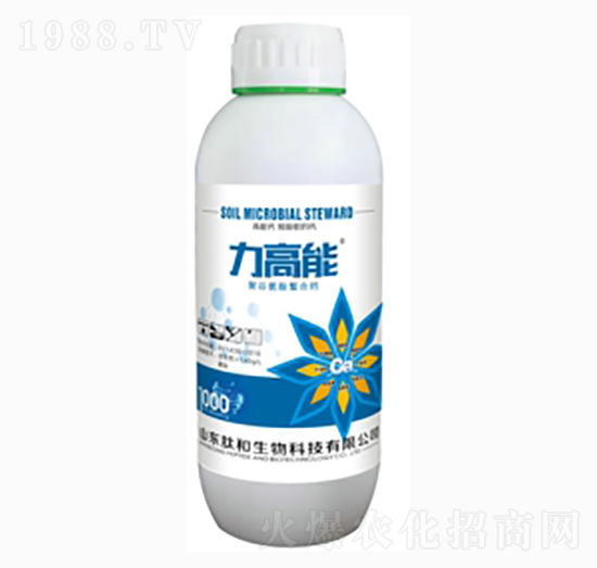 �����������}-�ĺ�����