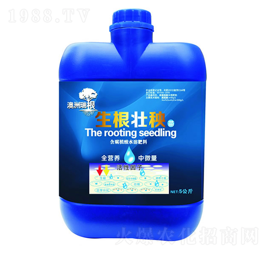 ��������-��������