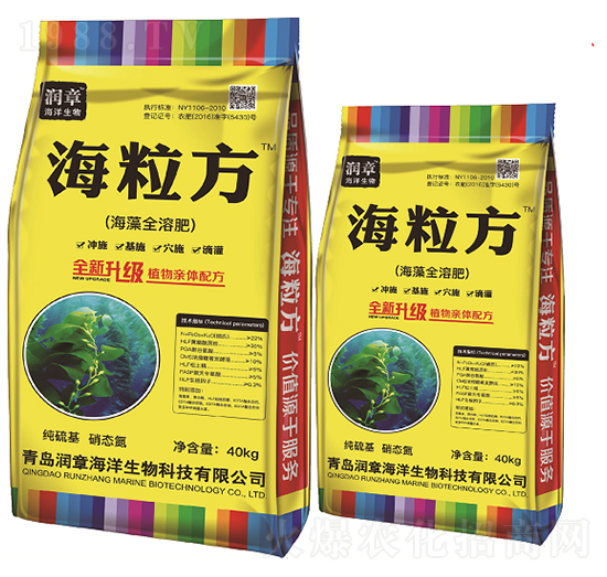 ����ȫ�ܷ�-������-��(r��n)�º���