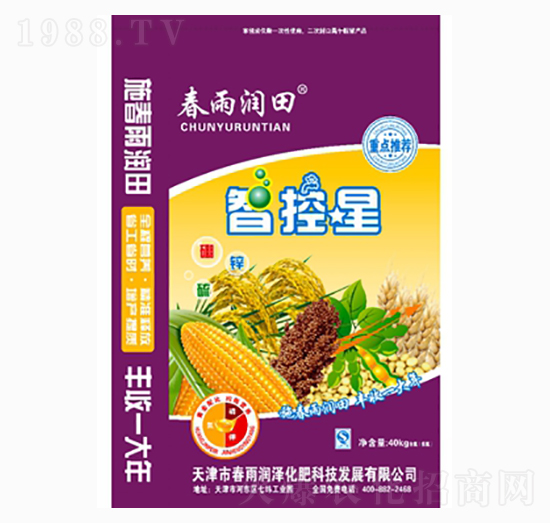 �ǿ���-���ꝙ��-�����r�I(y��)