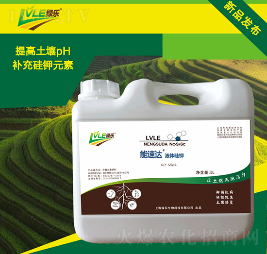 Һ�w���-�����_(d��)-�G������