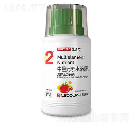 ���w�����V-������