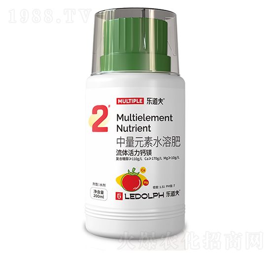 ���w�����}�V-������