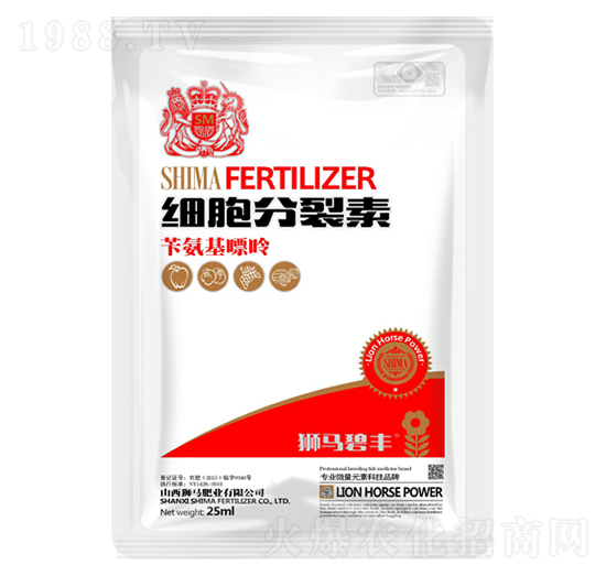 ����������-�{�R�ʘI(y��)