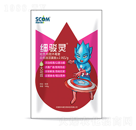 ���ġ��L֦ľù��-��(x��)�E�`-˹��ķ