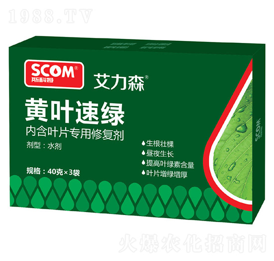 �S�~�پG-����ɭ-˹��ķ