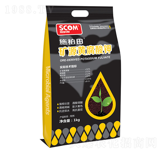 �VԴ�S�����-ʩ����-˹��ķ