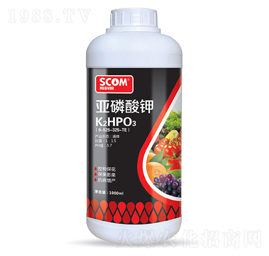 �������0-525-325+TE-˹��ķ