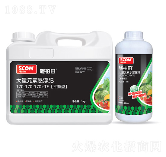 ƽ���ʹ���Ԫ�ؑҸ���170-170-170+TE-ʩ����-˹��ķ