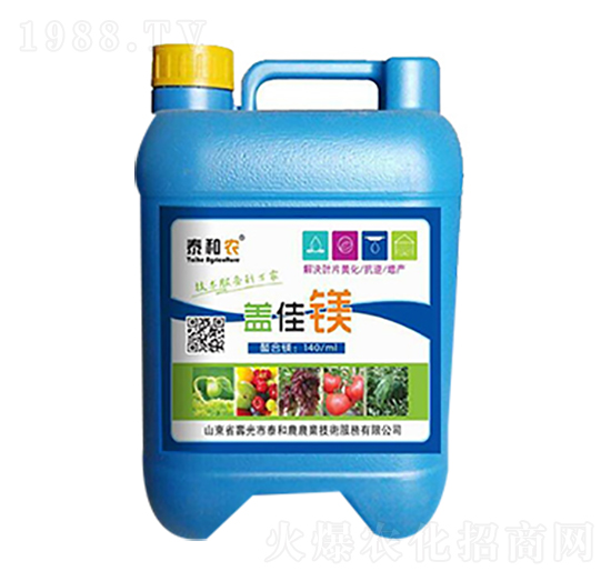 �w���V-������r