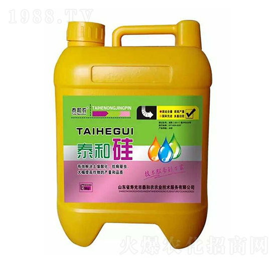 ̩�͹�-������r(n��ng)