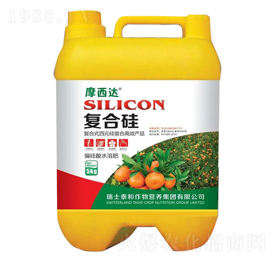 �ͺϹ�-Ħ���_-������r