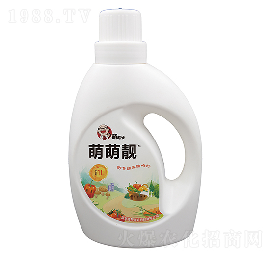 �����n-�Ȏ�