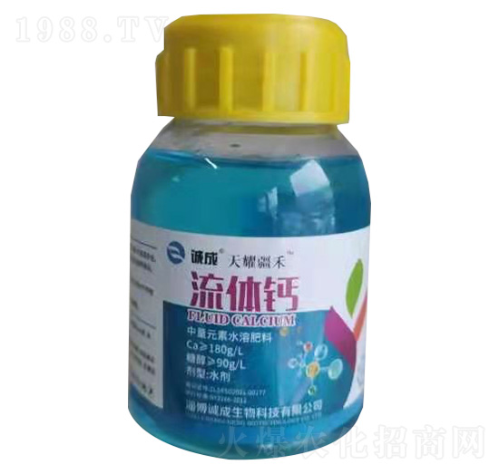 ���w�}-��ҫ����-�\(ch��ng)������