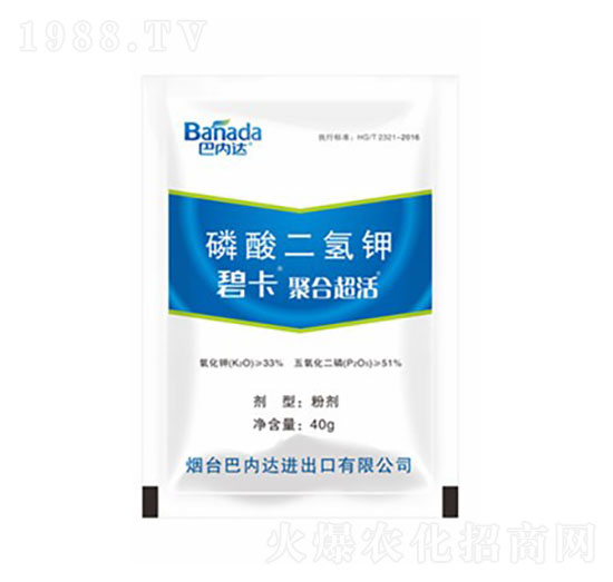 40g��������-�̿�-�̓�(n��i)�_