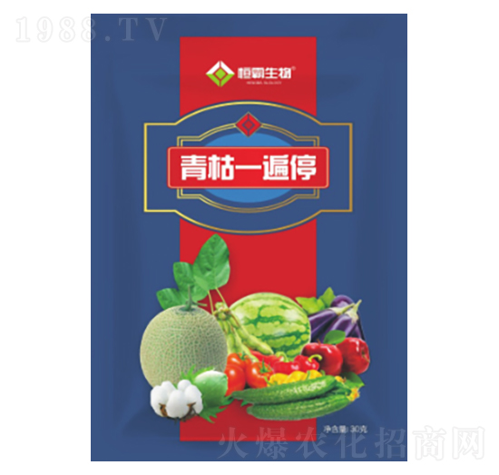 ���һ��ͣ-�������