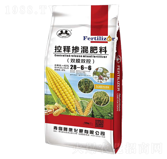 ��ጓ������28-6-6-��������