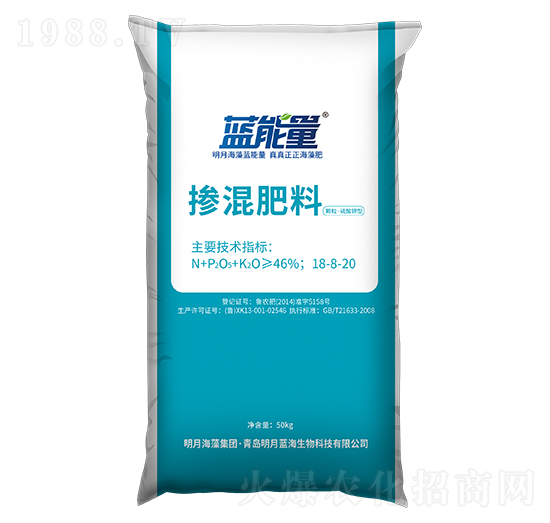 �w����������͓������18-8-20-�{����