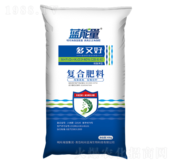 ������͏ͺϷ���28-6-6-���ֺ�-�{����