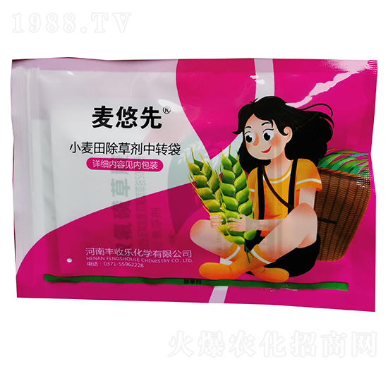 С�����݄����b-������-�S�՘�(l��)