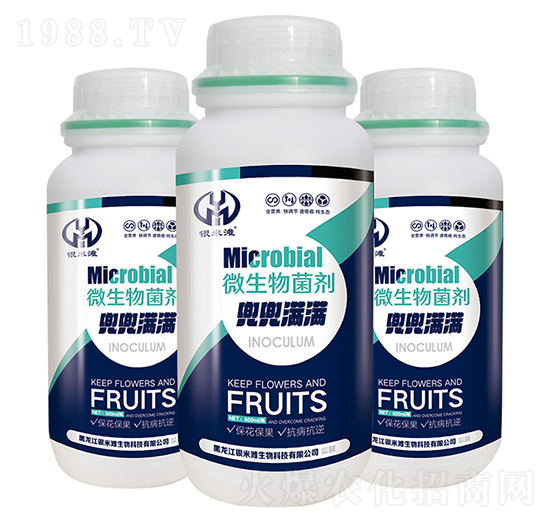 �����M�M΢�������-�y�מ�����