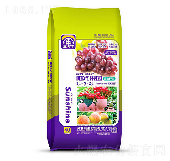 �������14-5-24-�_(d��)���S-ǰ�طʘI(y��)