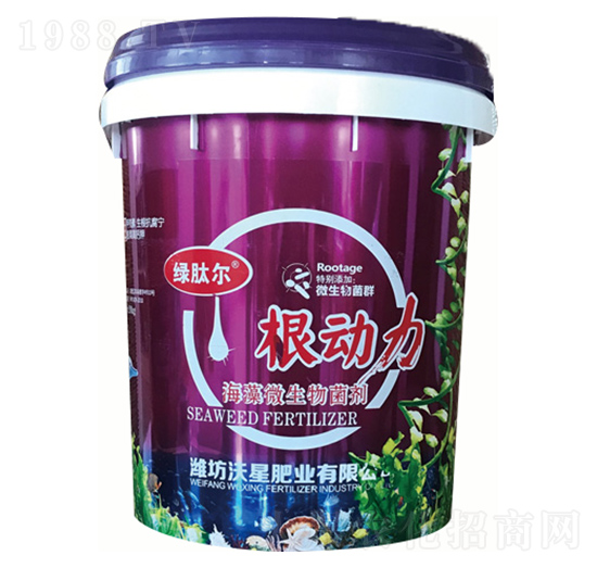 ����΢�������-����(d��ng)��-���ǷʘI(y��)