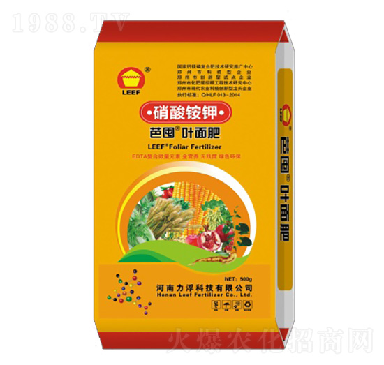 �����@��~���-�Ŷ�-�����Ƽ�