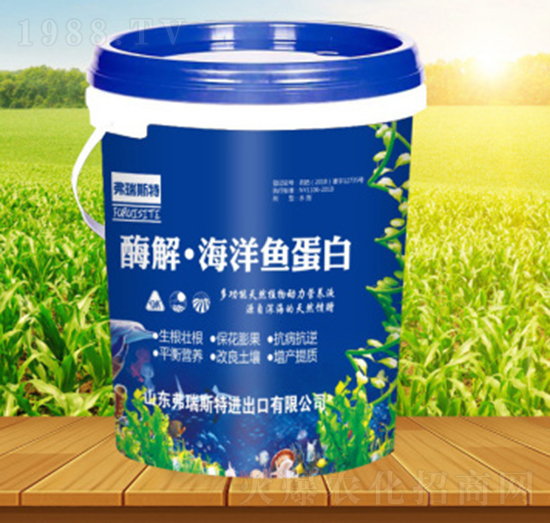 ø�⡤�����~����-����˹��