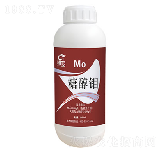 �Ǵ��f-����-�֮��