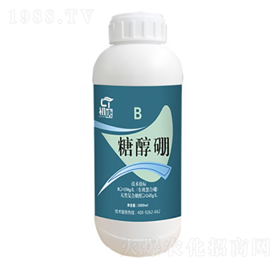 �Ǵ���-����-�֮��