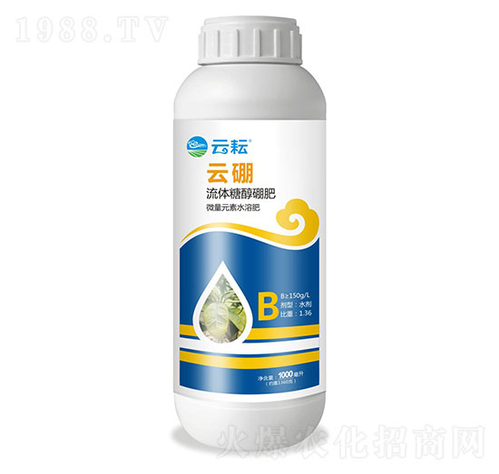 ���w�Ǵ����-����-����