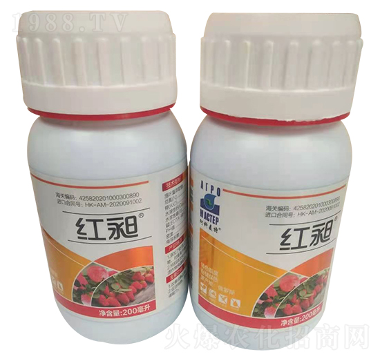 200ml�t��-������