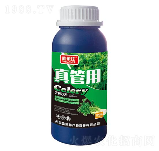 �����-ʩ�R��-ӯ�S�r�I(y��)