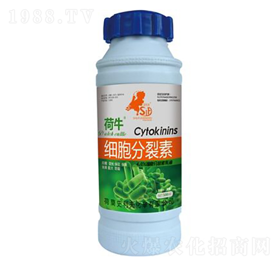 ����������-��ţ-ʷ����