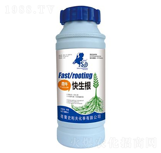 ��ţ������-ʷ����