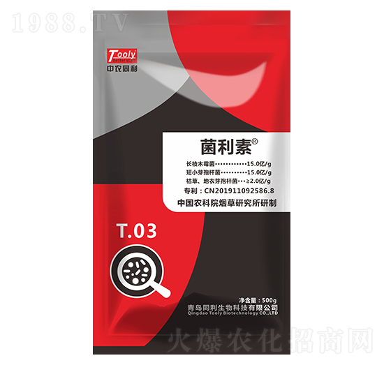 ������-ͬ������