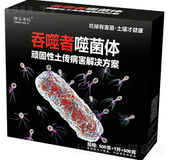 �B��������������Q����-Ħ�K����