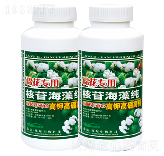 �޻���(zhu��n)�ú��պ��弃-������