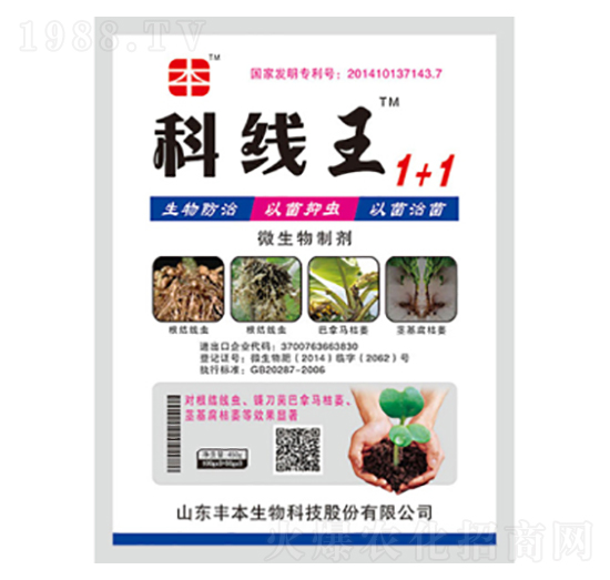 ΢�������-�ƾ�(xi��n)��1+1-�S������