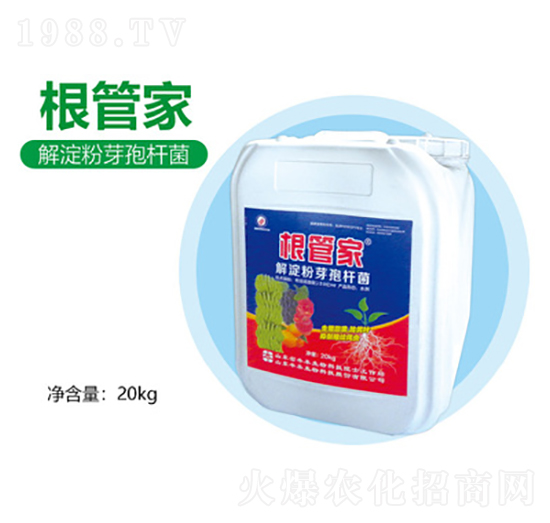 �����ѿ�ߗU��-���ܼ�-�S������