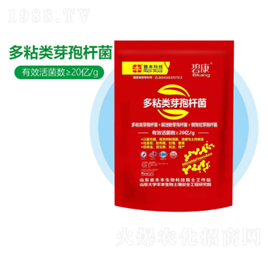 ��ճ�ѿ�ߗU��-�S������