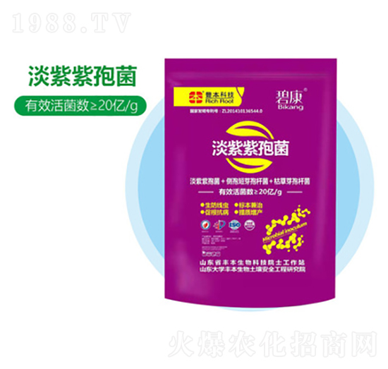 �������߾�-�S������