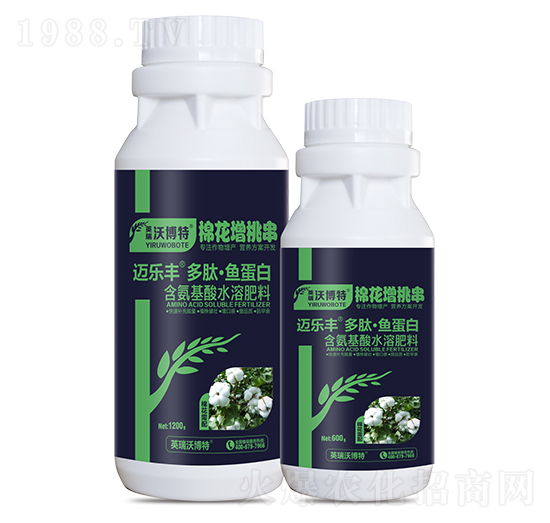 �޻�������ġ��~����-�~���S-Ӣ���ֲ���